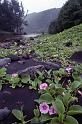 RWT 0002 T06-20 Hawaii